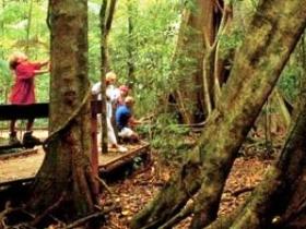 Mary Cairncross Scenic Reserve - Accommodation Perth 0