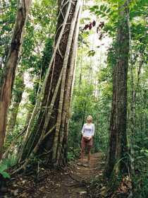 Wet Tropics - Accommodation Perth 0