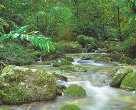 Mossman Gorge, Daintree National Park - Perth Resorts 0