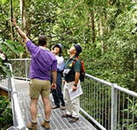 Daintree Discovery Centre - Accommodation Perth