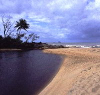 Russell River National Park - Accommodation Perth