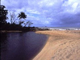 Russell River National Park - Accommodation Perth 0
