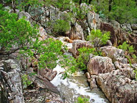 Crows Nest National Park - Accommodation Perth 0