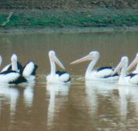 Pelican Point - Perth Resorts