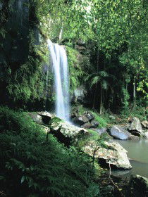 Curtis Falls, Joalah Section - Accommodation Perth 0