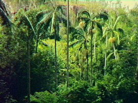 Yarrol QLD Accommodation Perth