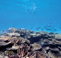 Australian Institute of Marine Science - Accommodation Perth
