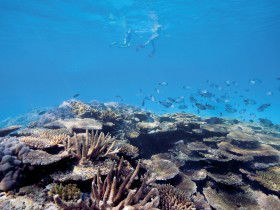 Australian Institute Of Marine Science - Accommodation Perth 0
