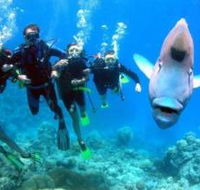 Gotham City Dive Site - Accommodation Perth