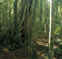Mount Bithongabel - Accommodation Perth