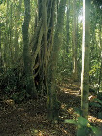 Mount Bithongabel - Accommodation Perth 0