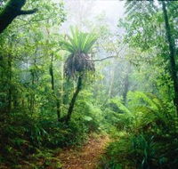 Lamington National Park Green Mountains Section - Accommodation Perth