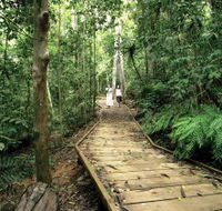 Lake Barrine Circuit Track Crater Lakes National Park - Accommodation Perth