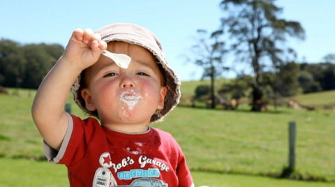 Maleny Dairies - Accommodation Perth 5