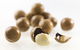 Nutworks - thumb 5