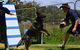 Lawdogs Australia - thumb 0