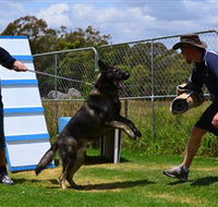 Lawdogs Australia - Accommodation Perth