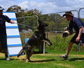 Lawdogs Australia - Accommodation Perth 0