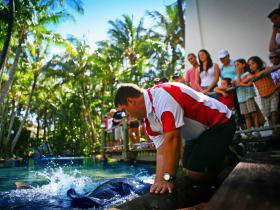 Daydream Island QLD Accommodation Perth