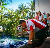 The Living Reef on Daydream Island - Accommodation Perth