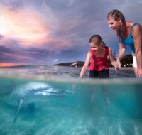 Tangalooma Island Resort - Accommodation Perth