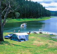Danbulla National Park and Danbulla State Forest - Accommodation Perth