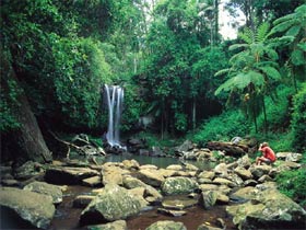 Tamborine National Park - Accommodation Perth 0