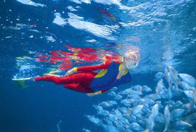 Outer Rocks Dive Site - Accommodation Perth 0