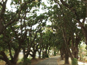 Eimeo QLD Perth Resorts