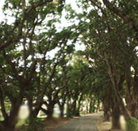 Mango Avenue - Perth Resorts