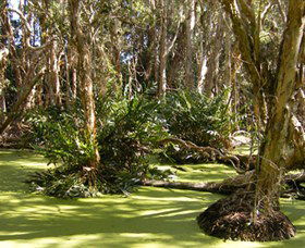 Arkarra Lagoons And Tea Gardens - Accommodation Perth 0