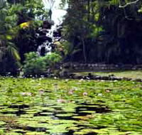 Queens Park Waterfall - Accommodation Perth