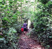 Malanda Falls Rainforest Walk Malanda Falls Conservation Park - Accommodation Perth