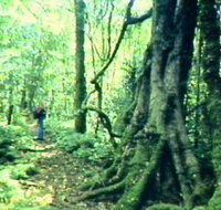 Mt Superbus - Perth Resorts