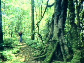 Mt Superbus - Perth Resorts 0