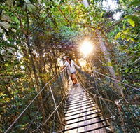 Tree Top Walkway - Accommodation Perth