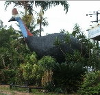 The Big Cassowary - Perth Resorts