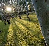 Tondoon Botanic Gardens - Accommodation Perth
