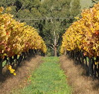 Wild Dog Winery  Restaurant - Accommodation Perth