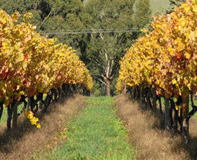Wild Dog Winery & Restaurant - Accommodation Perth 0