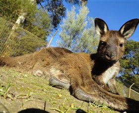 Addington VIC Accommodation Perth