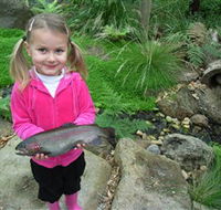 Wild Food Farm  Cafe - Accommodation Perth