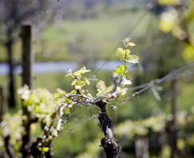 Elan Vineyard And Winery - Accommodation Perth 0