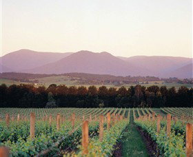 Domaine Chandon - Accommodation Perth 0