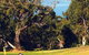 Lorne Country Club - thumb 0
