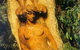 William Ricketts Sanctuary - thumb 0