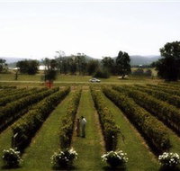 Rochford Wines - Perth Resorts