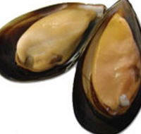 Sea Bounty - Accommodation Perth