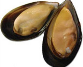 Sea Bounty - Accommodation Perth 0