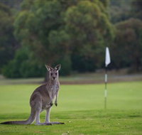 Anglesea Golf Club - Perth Resorts